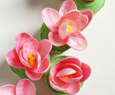 Цветки магнолии из шоколада для украшения тортов